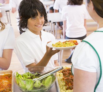 Con el Máster en Nutrición en Comedores Escolares te formarás para ejercer en este ámbito